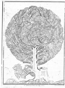 The Gracy Family Tree